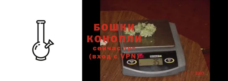 PSILOCYBIN Нефтегорск