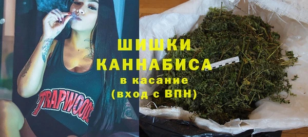 гидра Нея