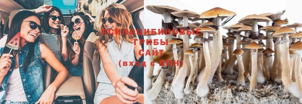 гидра Нея